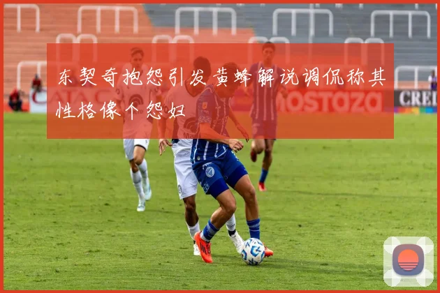 东契奇抱怨引发黄蜂解说调侃称其性格像个怨妇