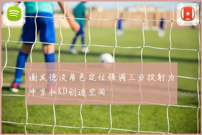 谢泼德谈角色定位强调三分投射为申京和KD创造空间